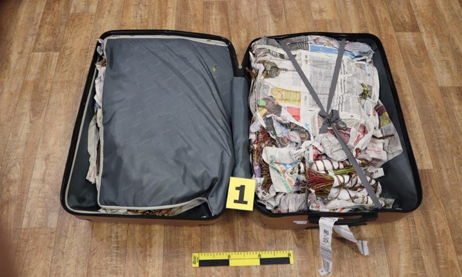 2020-2-24-724foto 2 kata.jpg